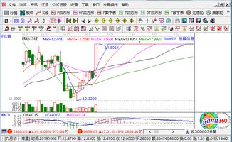 國產軟件概念板塊強勢上漲，恒鋒信息等多股漲停